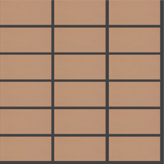 Gạch Inax 30 cm x 30 cm 255/PPC-133