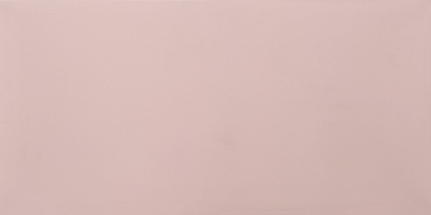 Gạch KT 30 cm x 60 cm W365