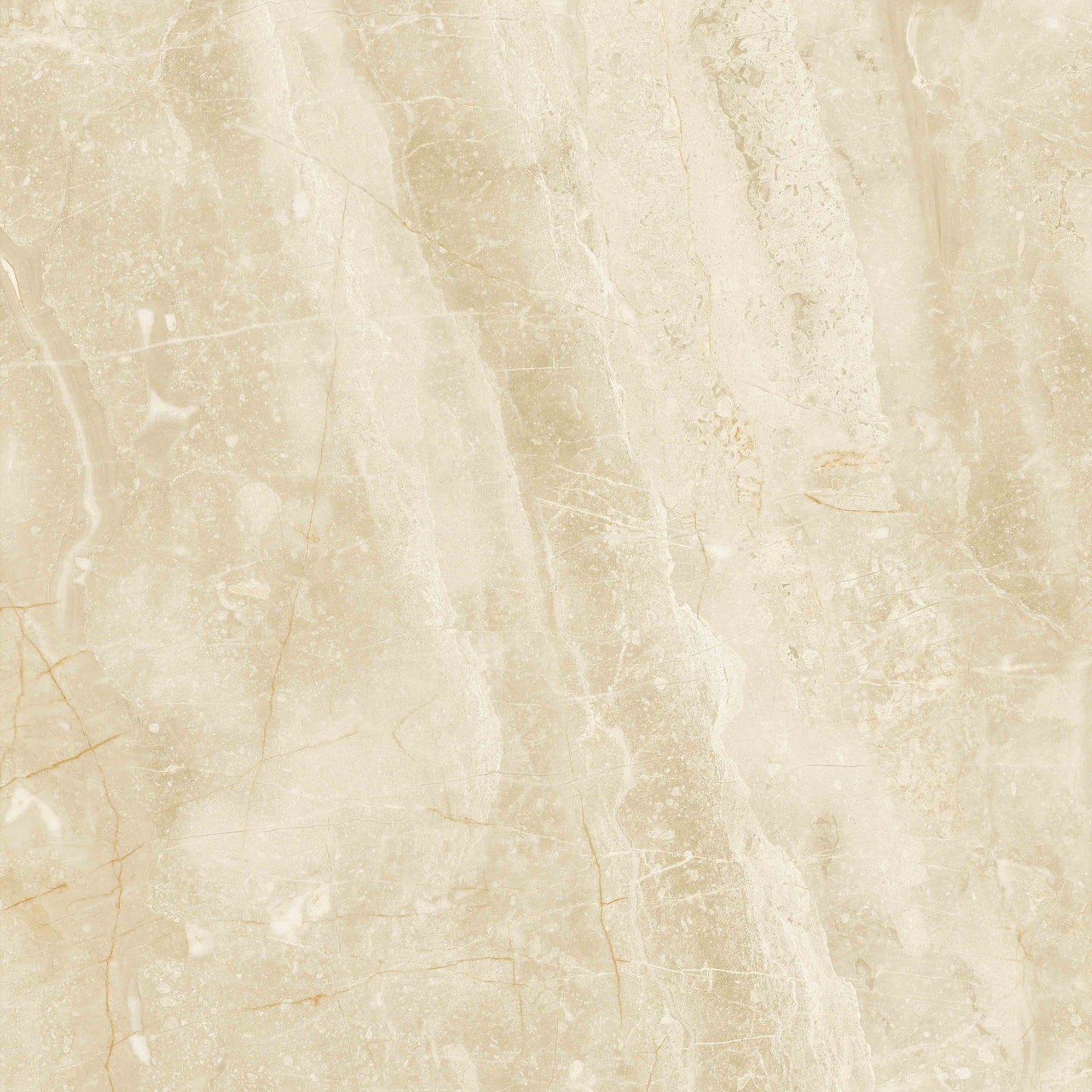 Gạch TT 120 cm x 120 cm BL12003