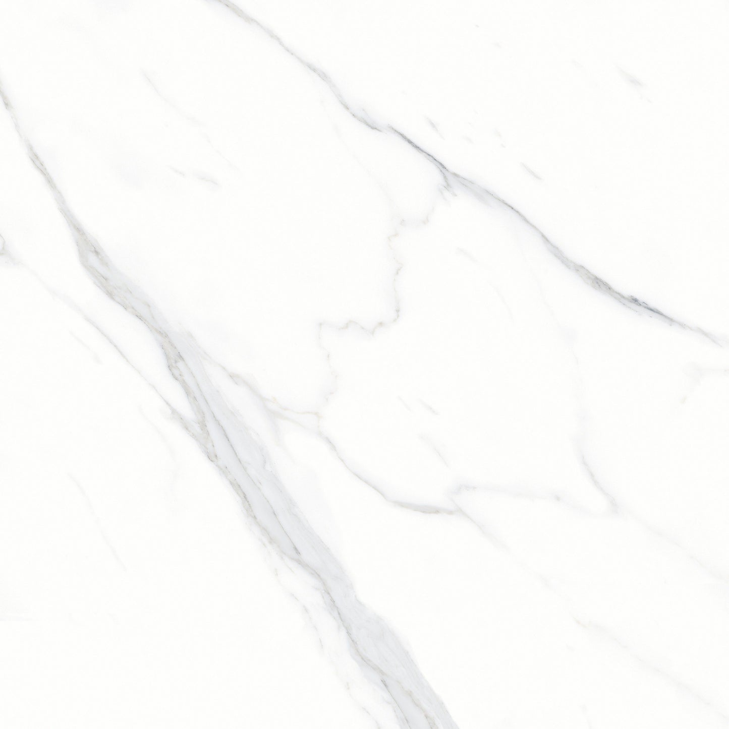 Gạch TT 120 cm x 120 cm BL12005