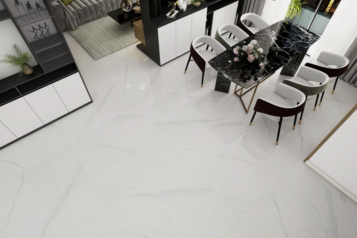 Gạch TT 120 cm x 120 cm BL12005