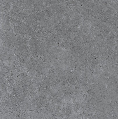 Gạch EU 60 cm x 60 cm PT20-G6605