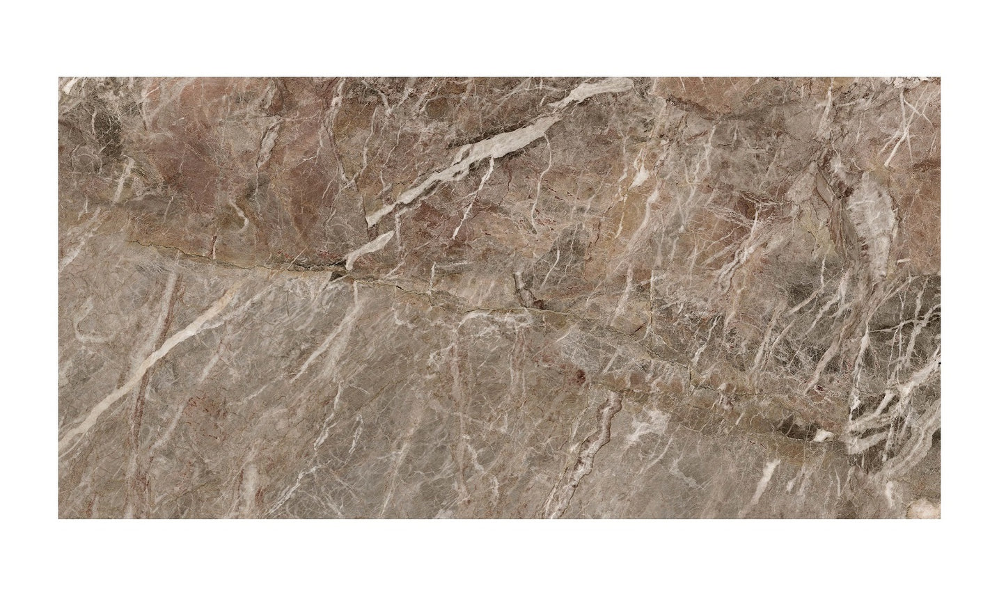 Gạch TT 100 cm x 200 cm HB10203