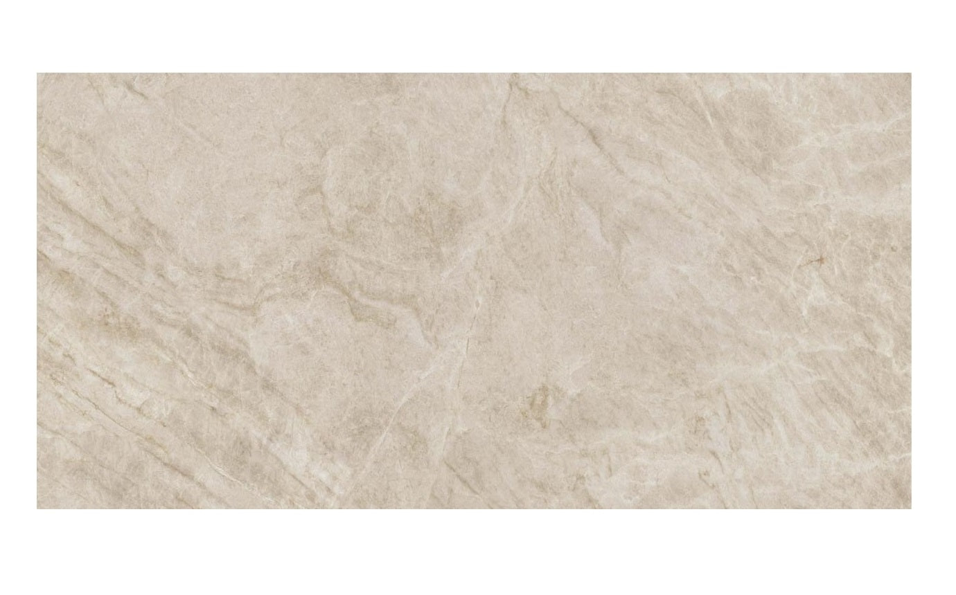 Gạch TT 100 cm x 200 cm HB10202