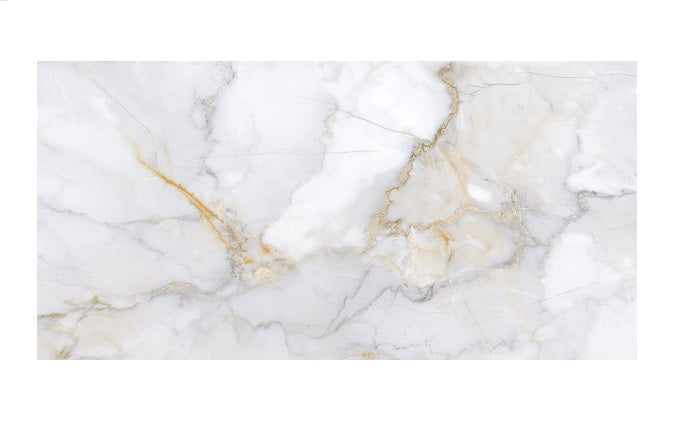Gạch TT 60 cm x 120 cm LE126SL25