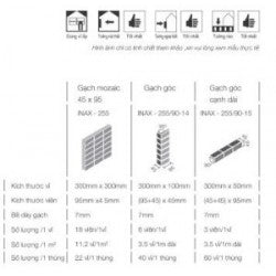 Gạch Inax 30 cm x 30 cm 255/SLC-1BN