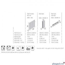 Gạch Inax 30 cm x 30 cm 255/DPL-103V