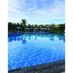 Gạch hồ bơi Inax 30 cm x 30 cm Inax-1025/POL-G1,G2,G3