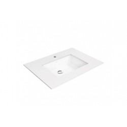 Chậu rửa âm bàn American WP-F514